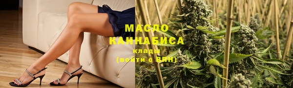 метадон Инта